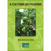 A Cultura da Figueira